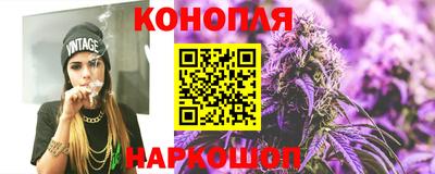 сатива Бийск