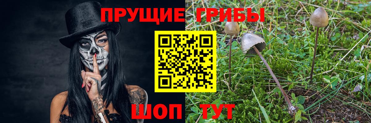 Галлюциногенные грибы мицелий Зерноград
